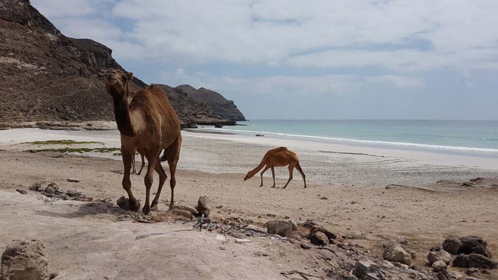 Mughsail Beach