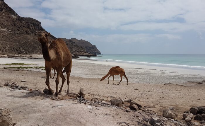 Mughsail Beach