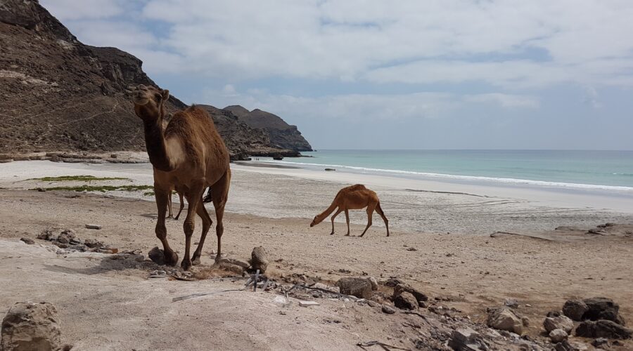 Mughsail Beach