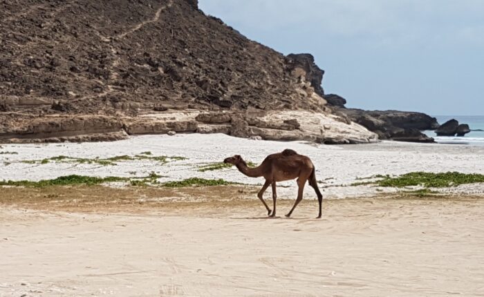 Mughsail Beach