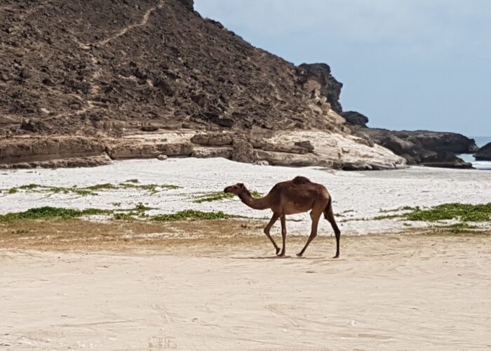 Mughsail Beach