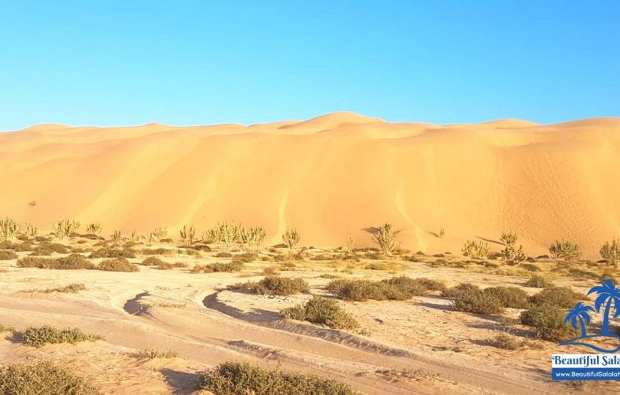 Desert Safari Dubai Experience · The Lost Executive